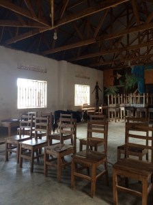 An unexpected pupil in my theory classroom - the school calf!